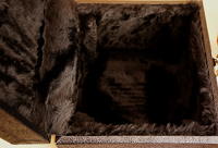 Button Box concertina hard case